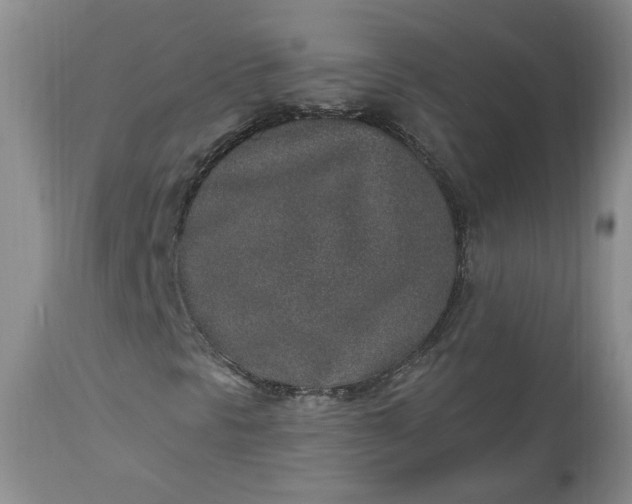 X0000112521297200908311347