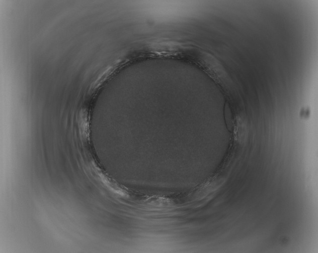 X0000112521298200908311347