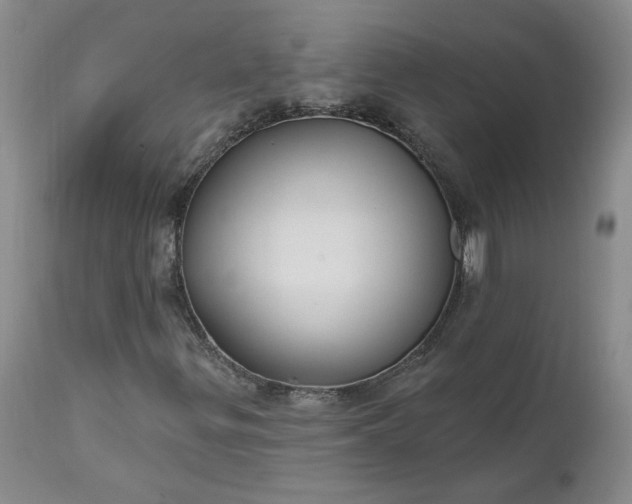 X0000112521299200908311347