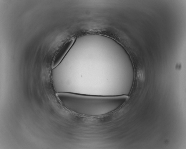 X0000112521300200908311347