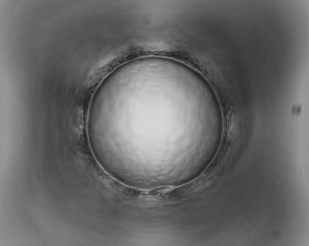 X0000112521301200908311347