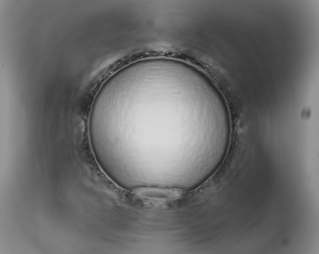 X0000112521302200908311347