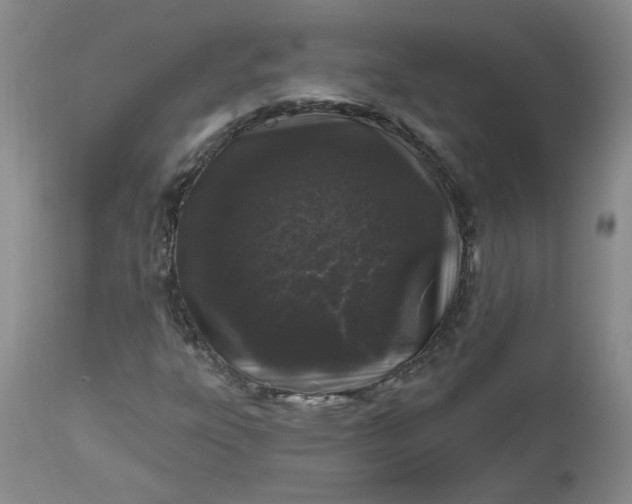 X0000112521303200908311348