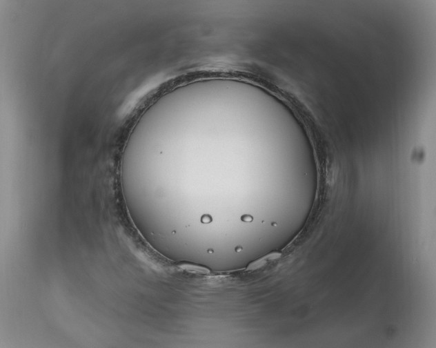 X0000112521304200908311348
