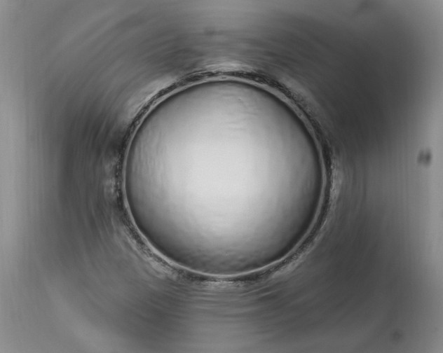 X0000112521305200908311348