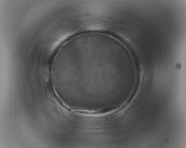 X0000112521306200908311348