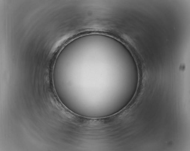 X0000112521307200908311348