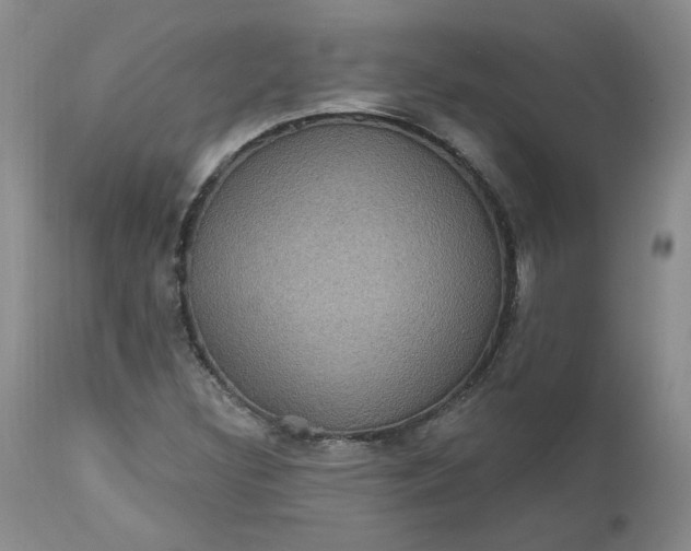 X0000112521308200908311348