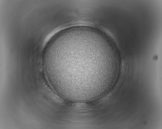 X0000112521310200908311348