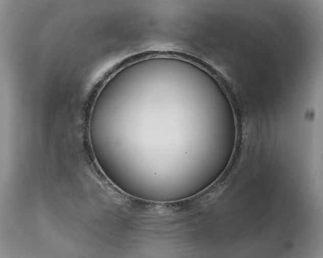 X0000112521311200908311348