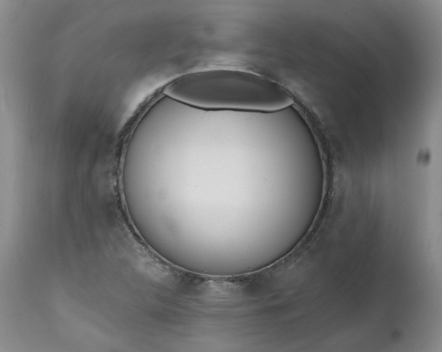 X0000112521312200908311348
