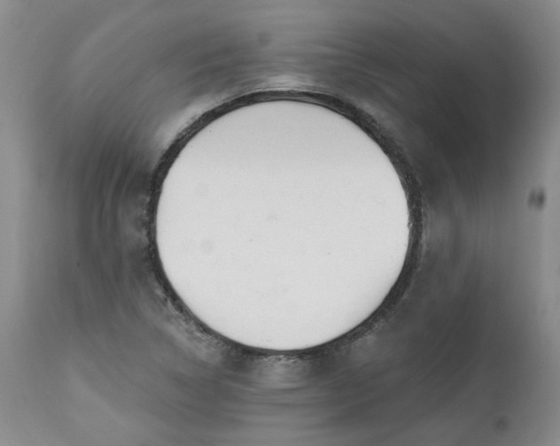 X0000112521314200908311348