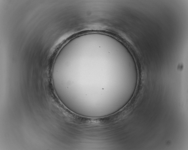 X0000112521315200908311348