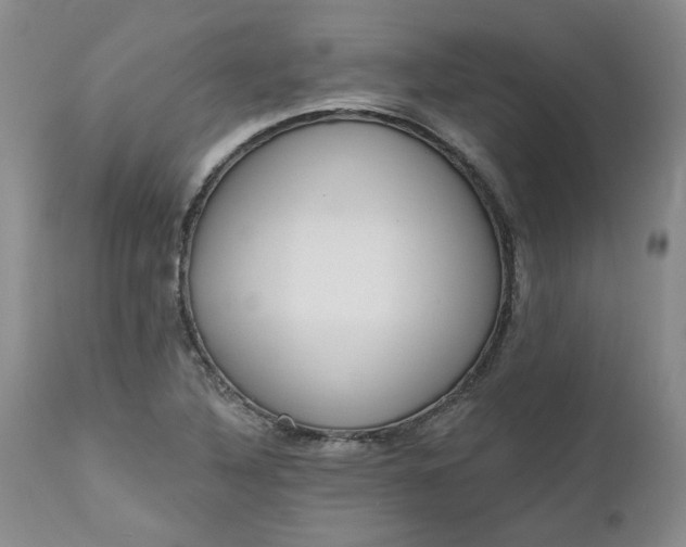 X0000112521316200908311348