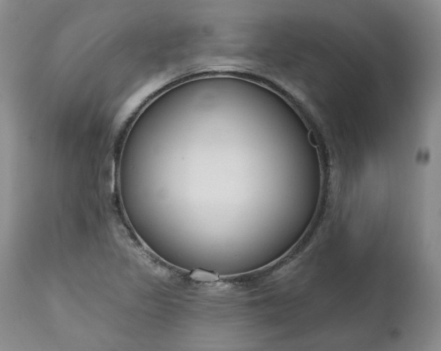 X0000112521317200908311348