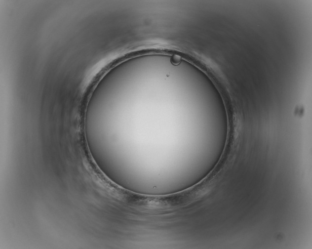 X0000112521318200908311348