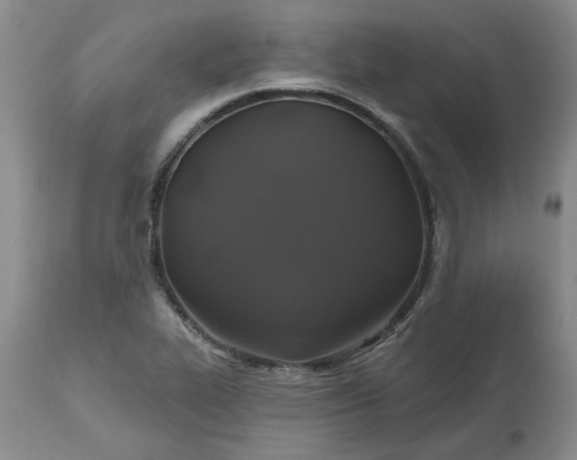 X0000112521319200908311348