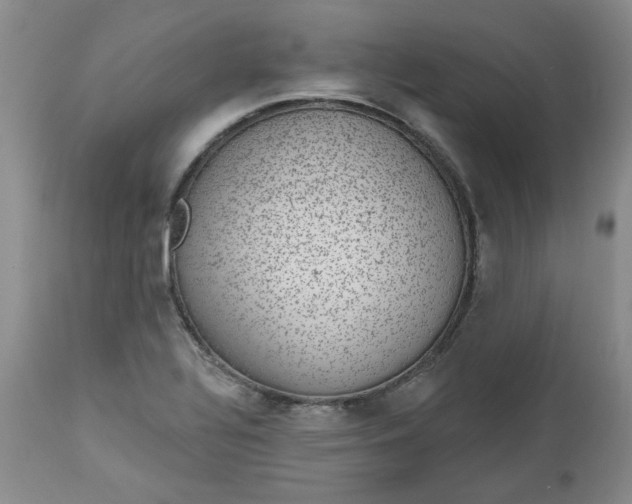 X0000112521320200908311348