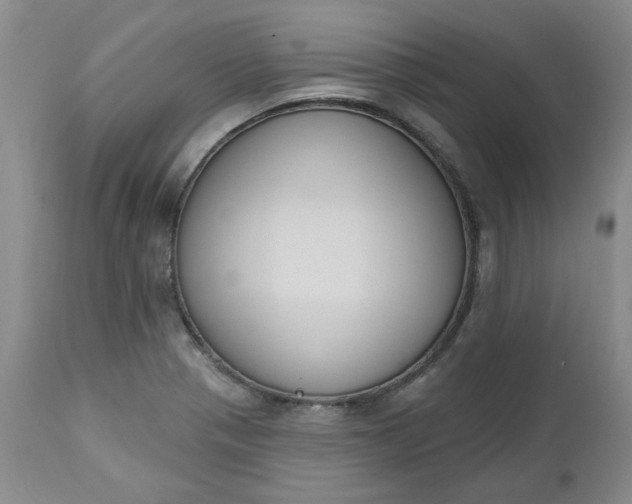 X0000112521321200908311348