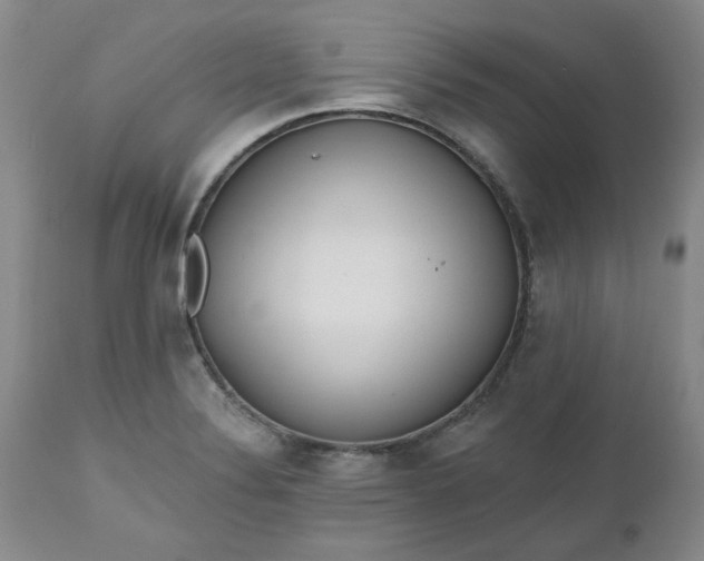 X0000112521324200908311348