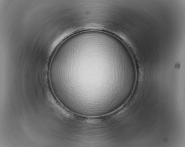 X0000112521325200908311348