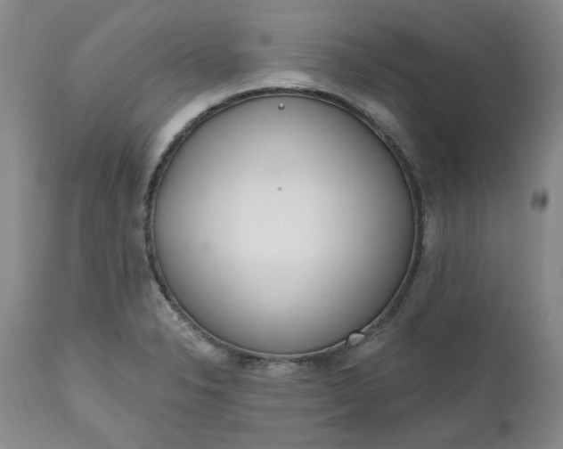 X0000112521326200908311348