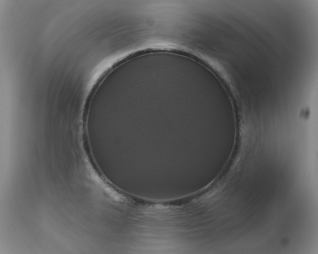 X0000112521327200908311348