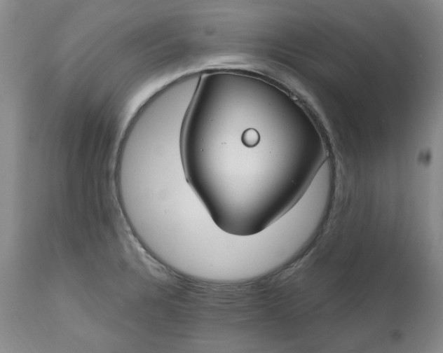 X0000112521328200908311348