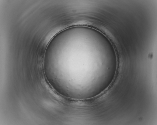 X0000112521329200908311348