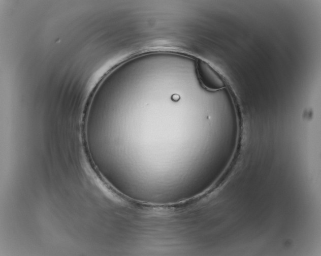 X0000112521333200908311348