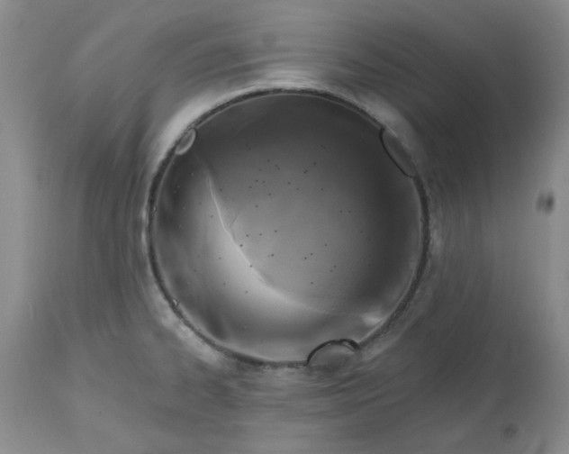 X0000112521334200908311348