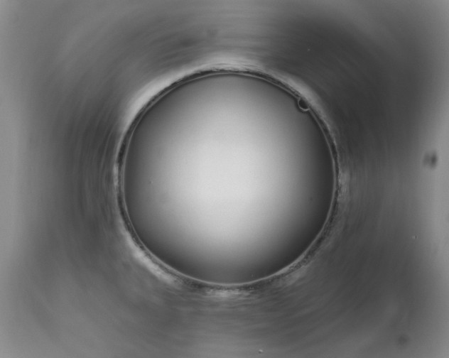 X0000112521335200908311348