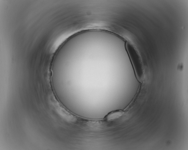 X0000112521336200908311348