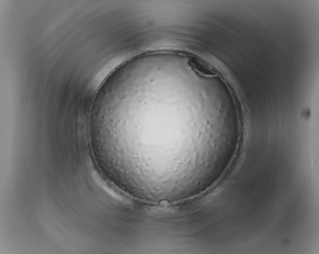 X0000112521337200908311348