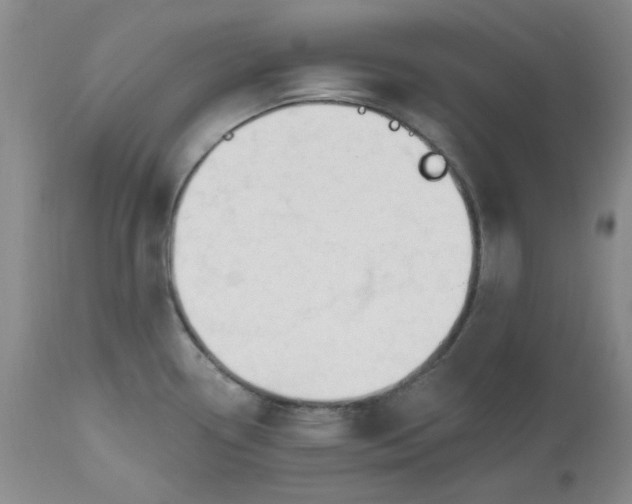 X0000112521338200908311348