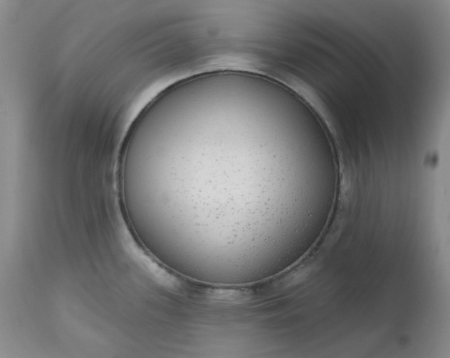 X0000112521339200908311348