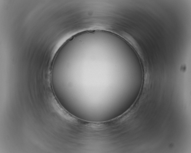 X0000112521340200908311348