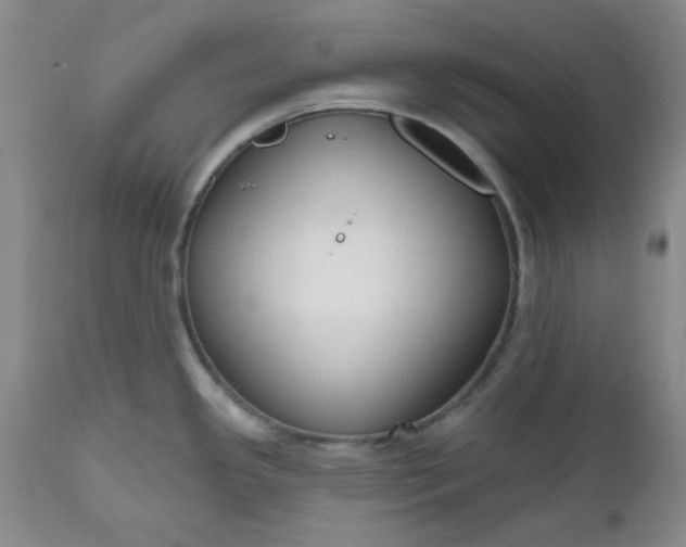 X0000112521341200908311348