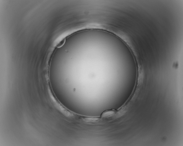 X0000112521342200908311348