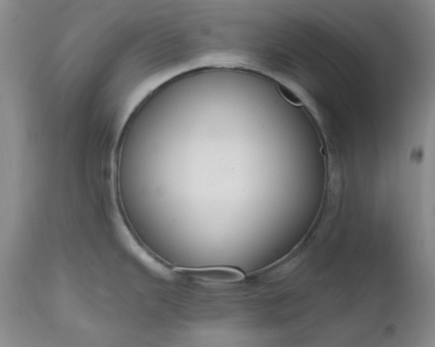 X0000112521343200908311348