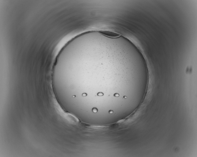 X0000112521344200908311348