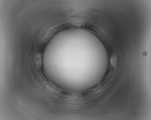 X0000112521347200908311347