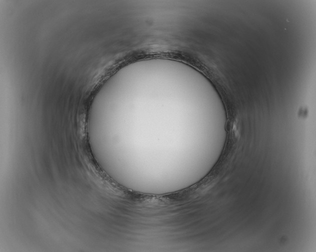 X0000112521348200908311347