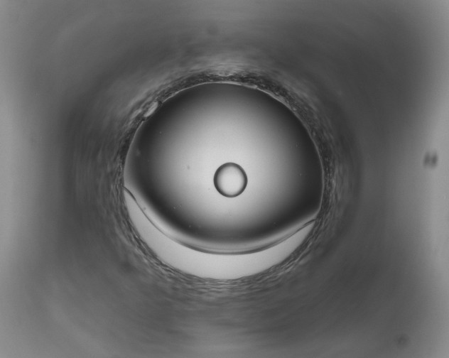 X0000112521349200908311347