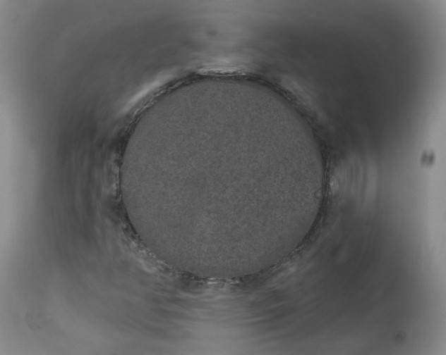 X0000112521350200908311347