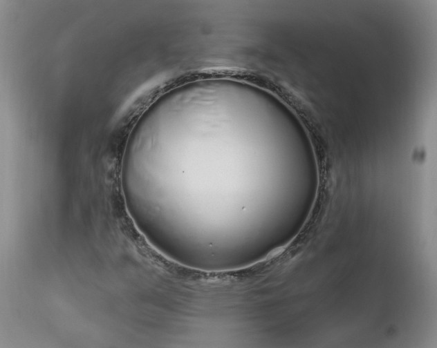 X0000112521351200908311347