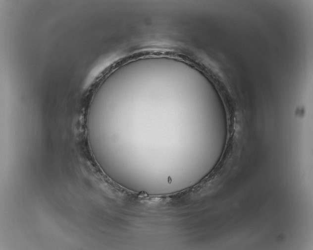 X0000112521352200908311347