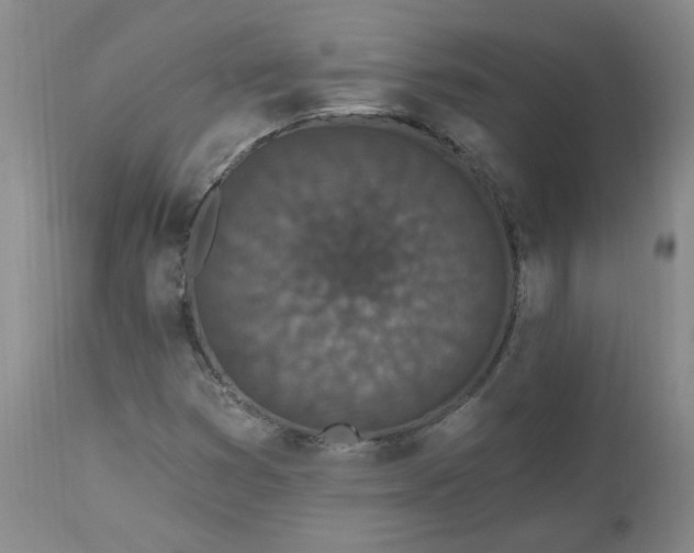 X0000112521353200908311347