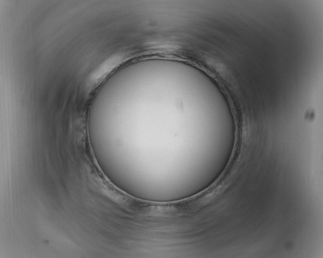X0000112521354200908311347