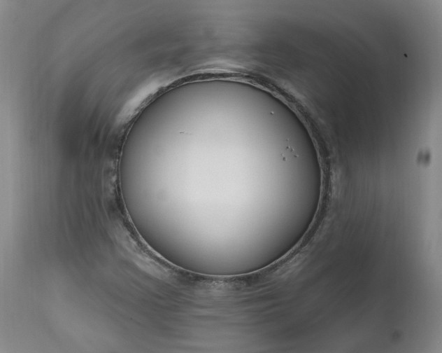 X0000112521355200908311347